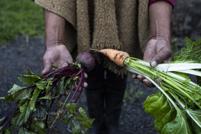 La agroecología, un modelo de vida como ciencia