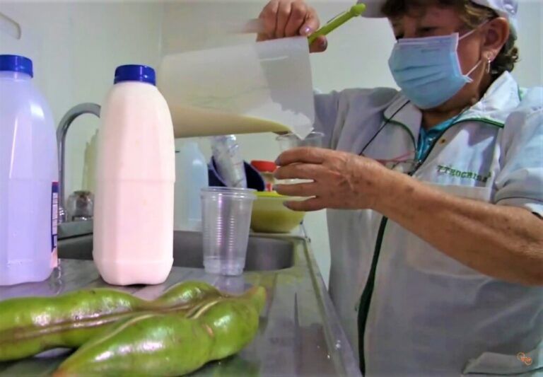 Yobalú, un yogur campesino a base de balú