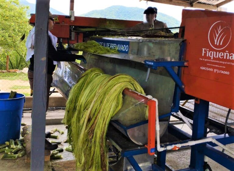 Fiqueña, tecnología para la revolución agroindustrial del fique
