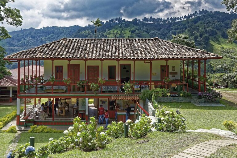 Plataforma digital para fomentar el excursionismo en el campo.