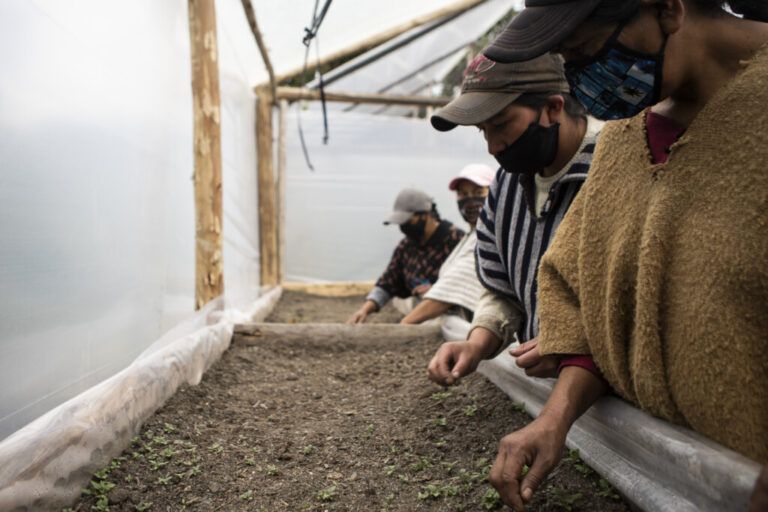 Oportunidad de crecimiento para pequeños productores agropecuarios