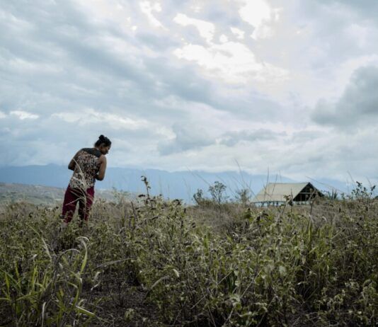 Pasca turística • Periódico El Campesino – La voz del campo colombiano