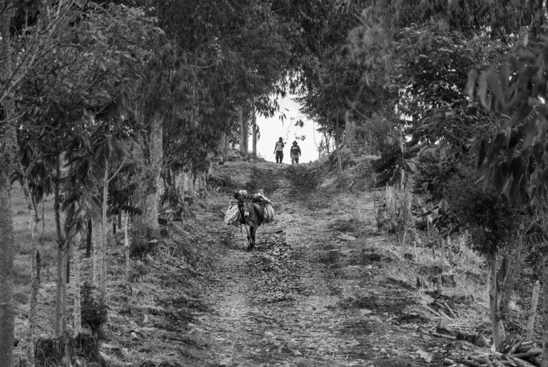 Crónica: Una noche de pesadilla tras el encuentro con la guerrilla en Potrerillo