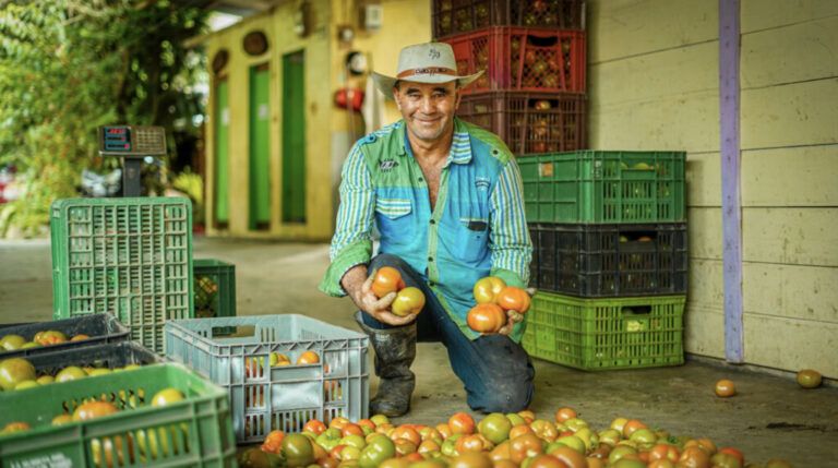 Convocatoria para Proyectos Productivos que Fortalecen a Campesinos en Colombia