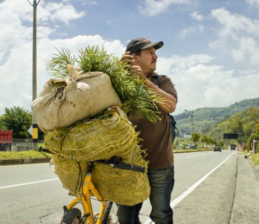 Foto: Agustin Patiño