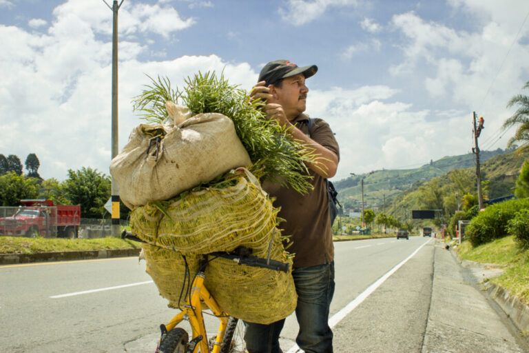 Campesinas y Campesinos podrán acceder a préstamos agrícolas con una tasa de interés del 4% EA