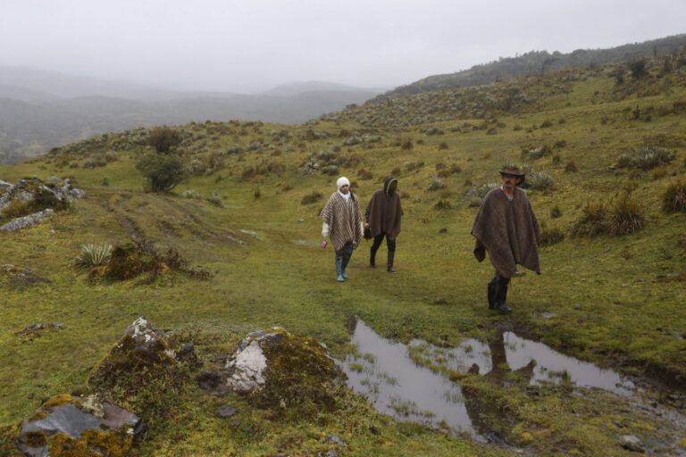 Paz en las Zonas Rurales: Jurisdicción Agraria una apuesta por generar Soluciones Rápidas y Equitativas por medio de Tribunales Agrarios