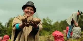 Foto: Web Mercados Campesinos - Alcaldia Bogota