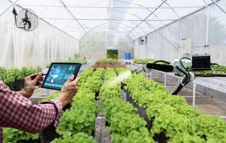 Transformando Comunidades Rurales: El Papel de la Inteligencia Artificial en el Desarrollo Sostenible