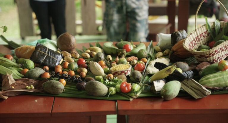 Cocinas Indígenas de Leticia – Recetario Ancestral: Un Viaje Profundo a la Riqueza Gastronómica de la Amazonía