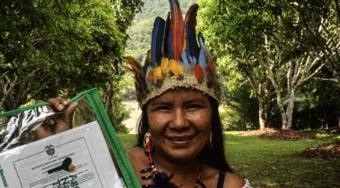 Foto: Agencia Nacional de Tierras