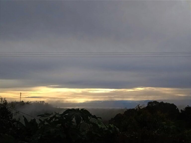 Crónica: Cosechando Paz en los Campos del Valle del Cauca