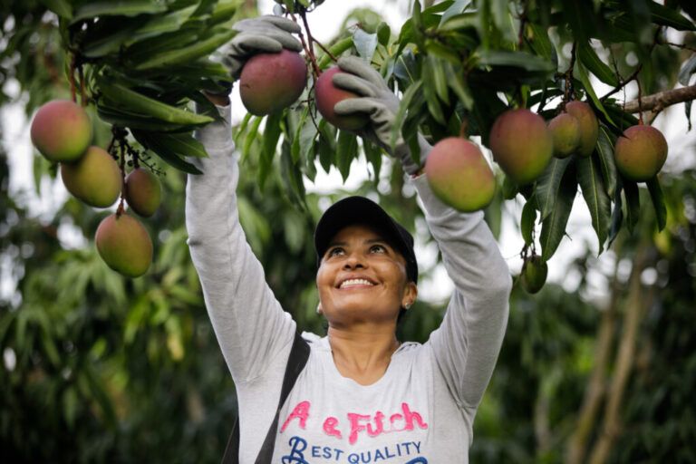 Colombia le apuesta a la creación de una Escuela de Formación Campesina, Desarrollo Rural y Empoderamiento Agrícola.