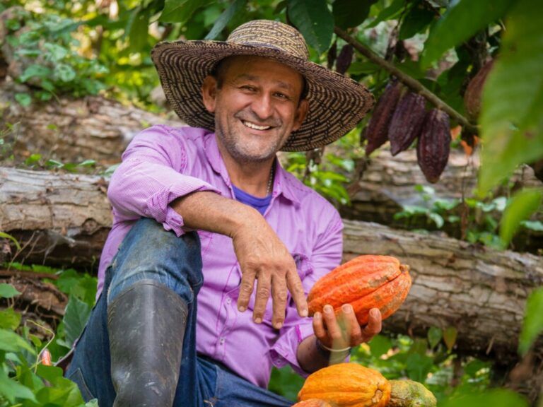 Aprobadas nuevas medidas para democratizar el crédito agropecuario en Colombia