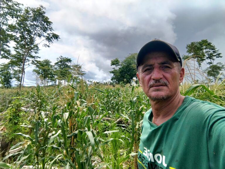 Arrotrefro – Innovación y Sostenibilidad en el Cultivo de Arroz Orgánico en la Amazonía Colombiana