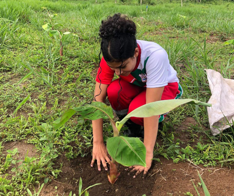 Cultivando Plátanos con Bocashi: Una Aventura Ecológica para Estudiantes de la IERSanta Fe del Caguán