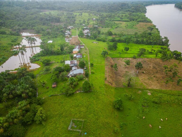 Yarinal: Resiliencia Ancestral en el Corazón de la Amazonía