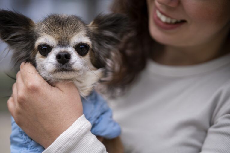 La salud animal también salva vidas humanas, Día Mundial de las Zoonosis