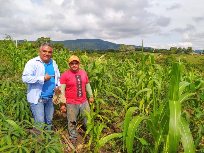 Foto: Proyecto agroambiental Sucre, Ovejas. Fondo Colombia en Paz