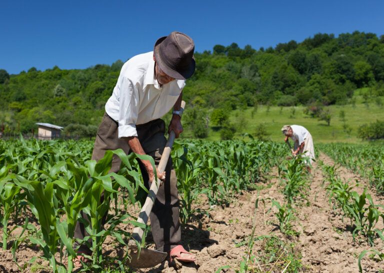 Radicado el Proyecto de Jurisdicción Agraria y Rural: Un paso clave hacia la paz y la justicia en el campo colombiano.