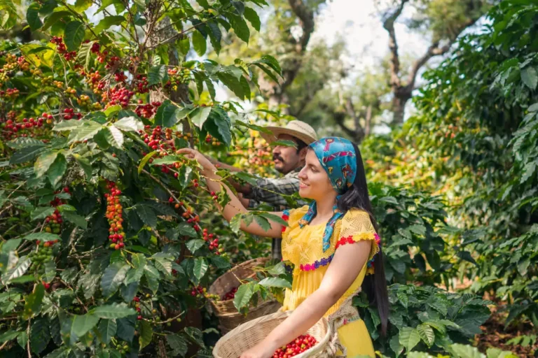 El Eje Cafetero sella el Pacto Regional por la Vida y la Biodiversidad camino a la COP16.