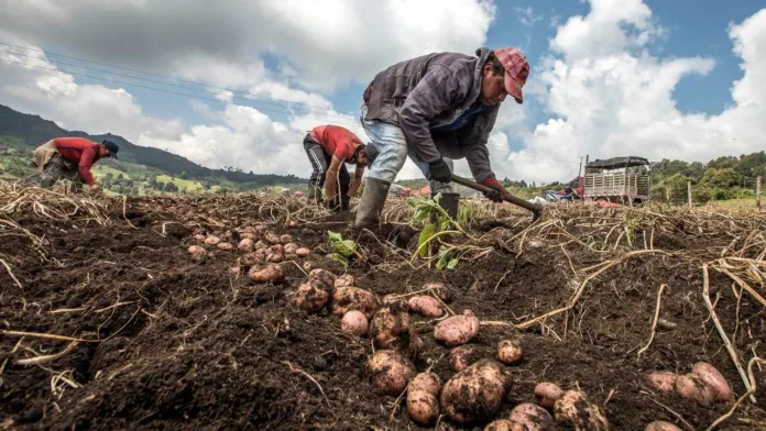 Foto: HBS Noticias: La importancia de crear una cultura para proteger los cultivos. Seguros Agropecuarios para mitigar las perdidas por desastres naturales, el cambio climático y demás factores.