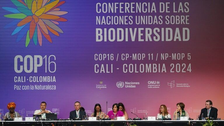 Parlamentarios del mundo lanzan declaratoria para la protección de la biodiversidad en la COP16.