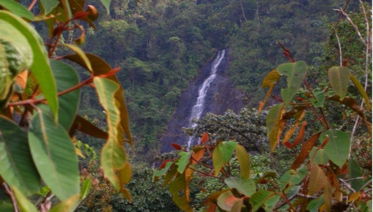 Reflexiones desde el campesinado anfitrión de la COP16: una voz que clamó inclusión y dignidad.