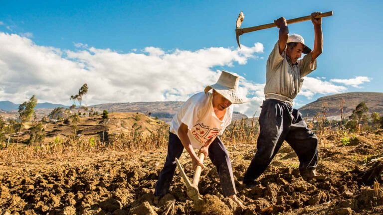 Inversión de $45.000 millones para transformar el campo colombiano y empoderar a sus agricultores.