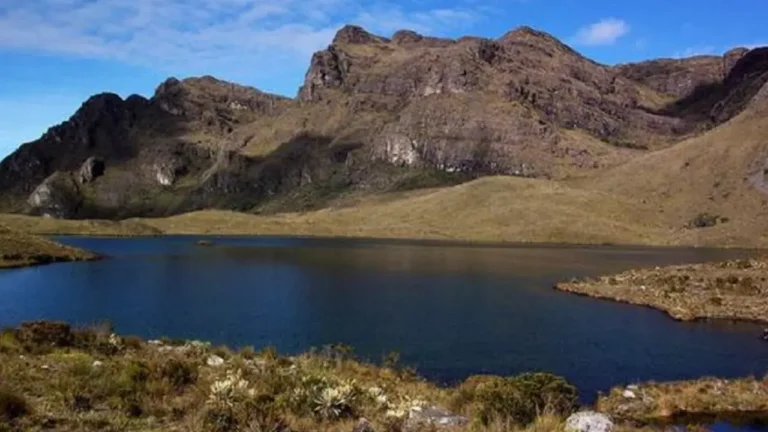 A consulta pública, proyecto de resolución para declarar Zona de Reserva Temporal en Santurbán.