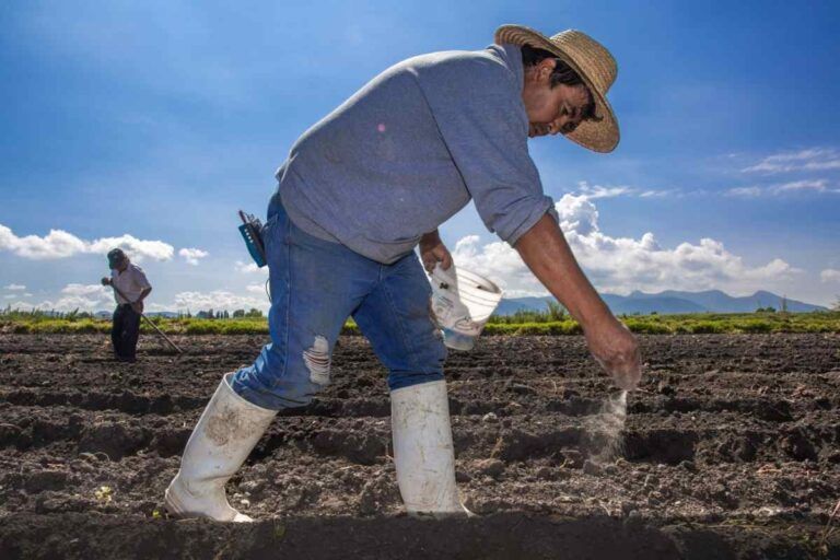 Aprobado el diferimiento arancelario en insumos agropecuarios para fortalecer el sector rural.