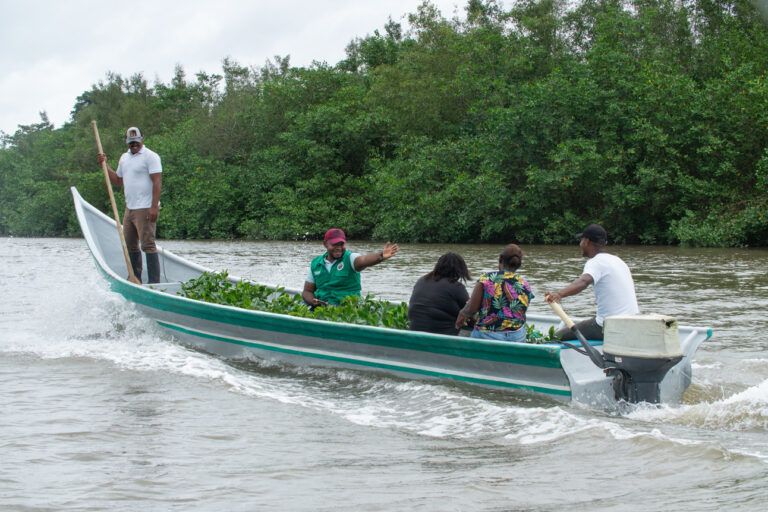 Negocios verdes para la biodiversidad y la acción climática.