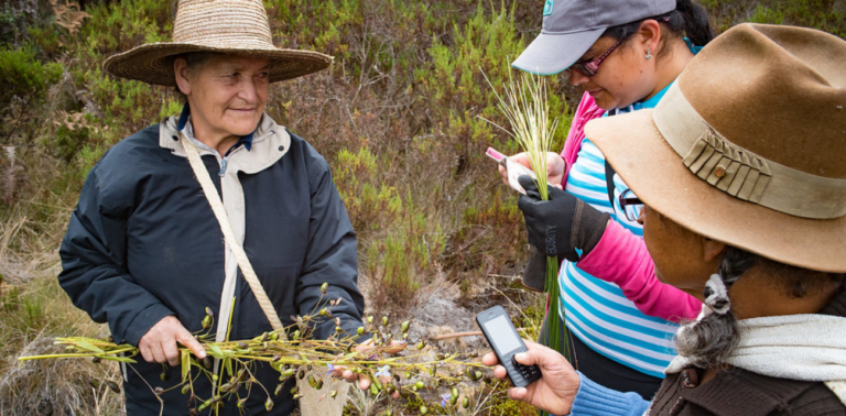 Colombia impulsa conectividad rural con proyectos innovadores y alianzas internacionales.