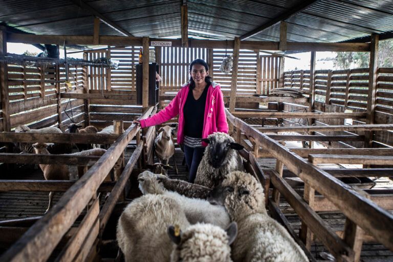 Migrar o quedarse, el dilema de la juventud campesina en Colombia