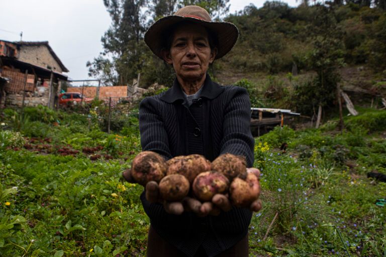 La tradición oral del campo:Jergas campesinas que mantienen viva la cultura rural