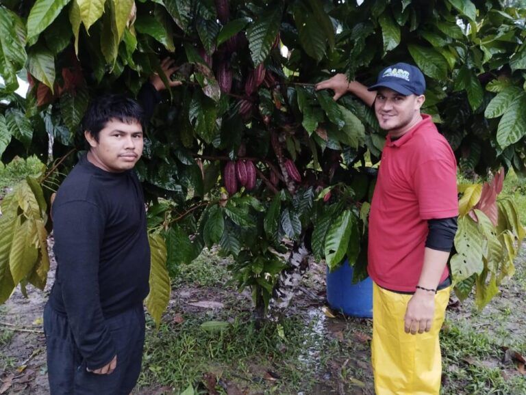 Agricultura en Guainía:Saberes y esfuerzos compartidos que transforman comunidades
