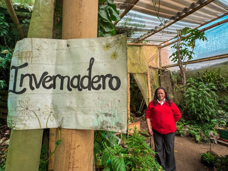 Experiencias que transforman: La vida agroecológica de Rosa Evelia Poveda en el corazón de Bogotá