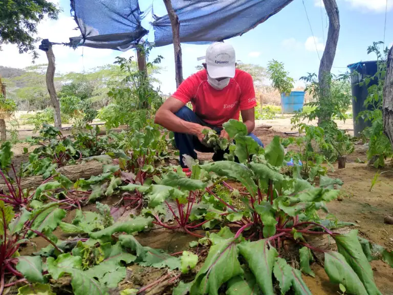 La agroecología, respuesta urgente y práctica al drama del hambre en La Guajira