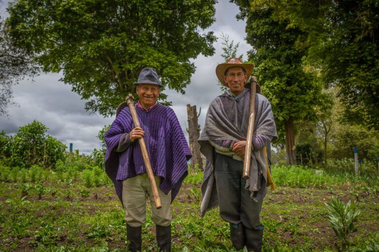 Lo que el desplazamiento borró del campo: recetas, semillas, palabras y fiestas