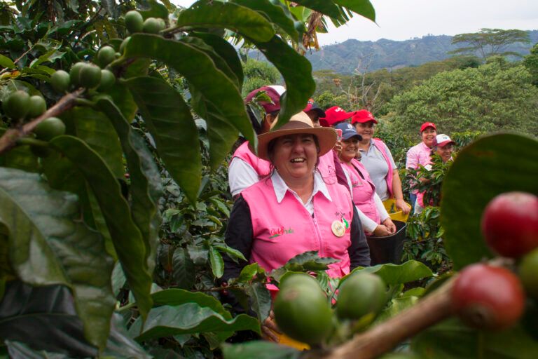 Nueva ley refuerza los derechos de las mujeres rurales, campesinas y de la pesca en Colombia