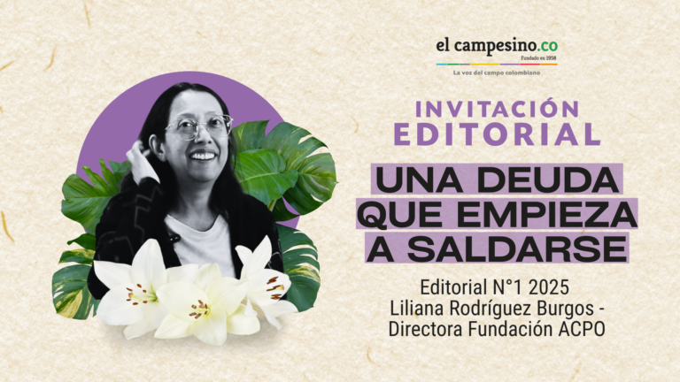 Una deuda que empieza a saldarse